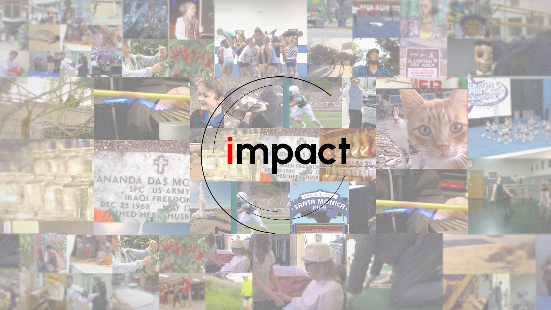 Impact